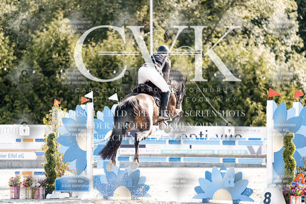 CK902171 | Turnierfotografie Pferdefotografie Trier Rheinland-Pfalz Pferdesport Reitsport Tierfotografie Sportfotografie Pferdevideo Pferdevideografie Equestrianvideography equestrianphotography  - Realisiert mit Pictrs.com