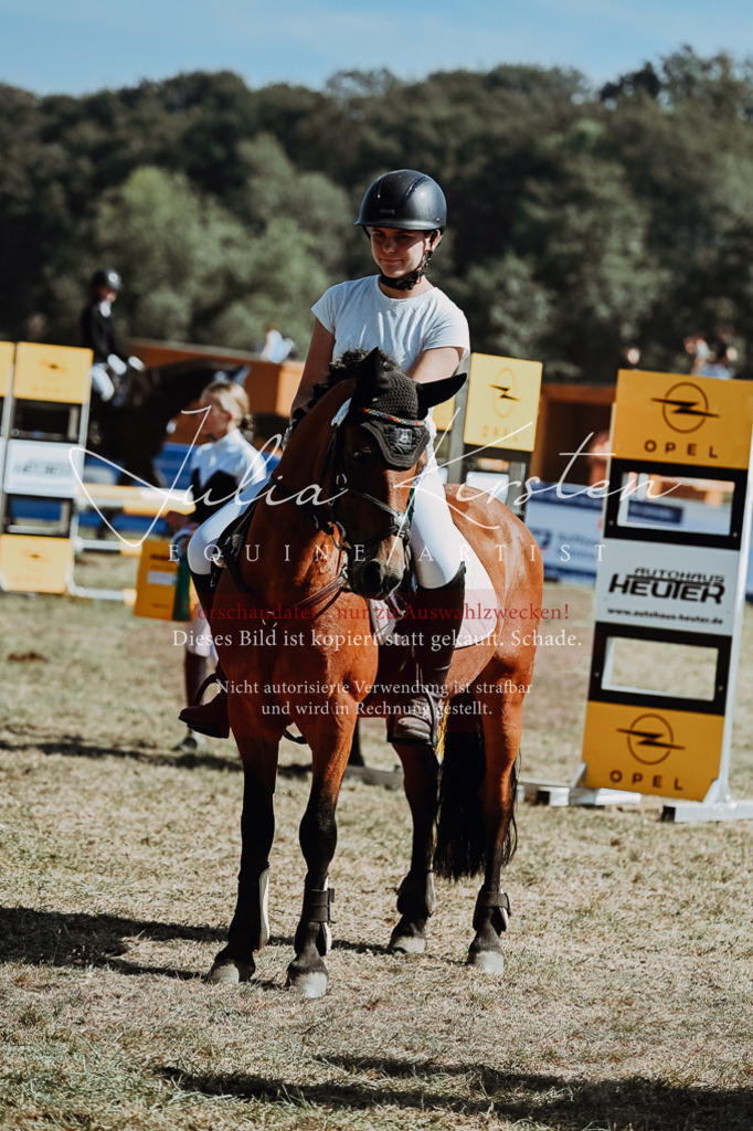 DSC_0123 | Pferde- und Turnierfotografie in Westsachsen. Pferdeportraits, Auftragszeichnungen und intuitive Kunst.