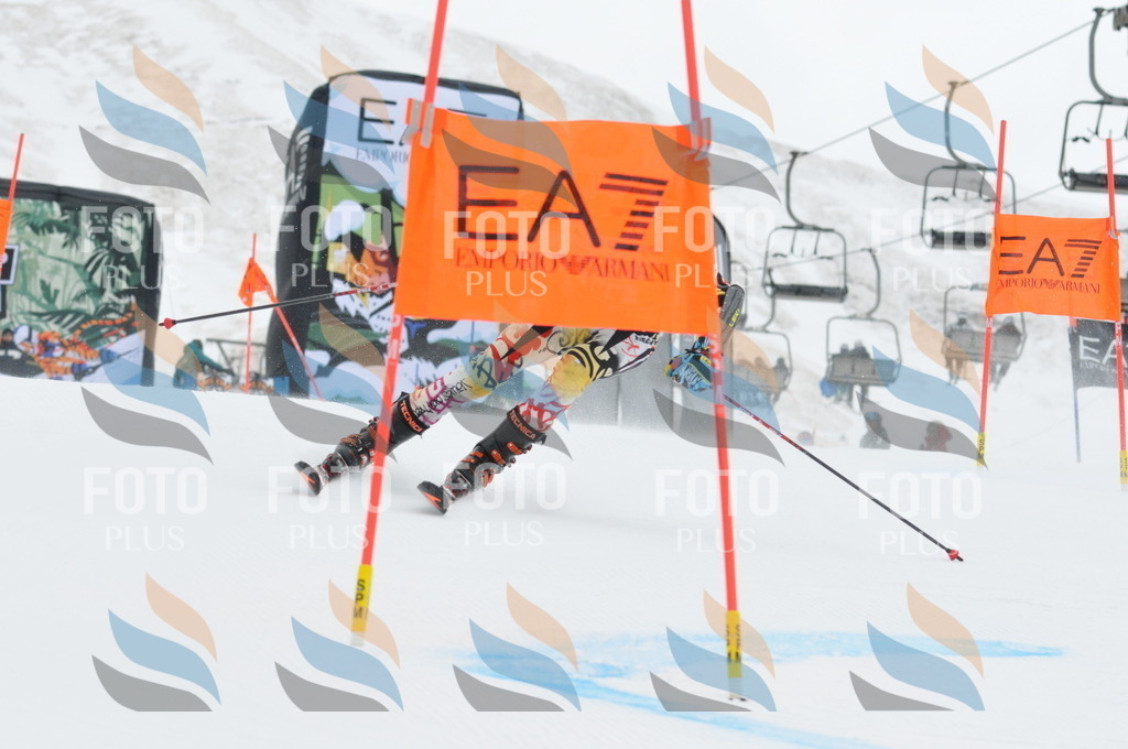 DSC_8919 | holidayphoto