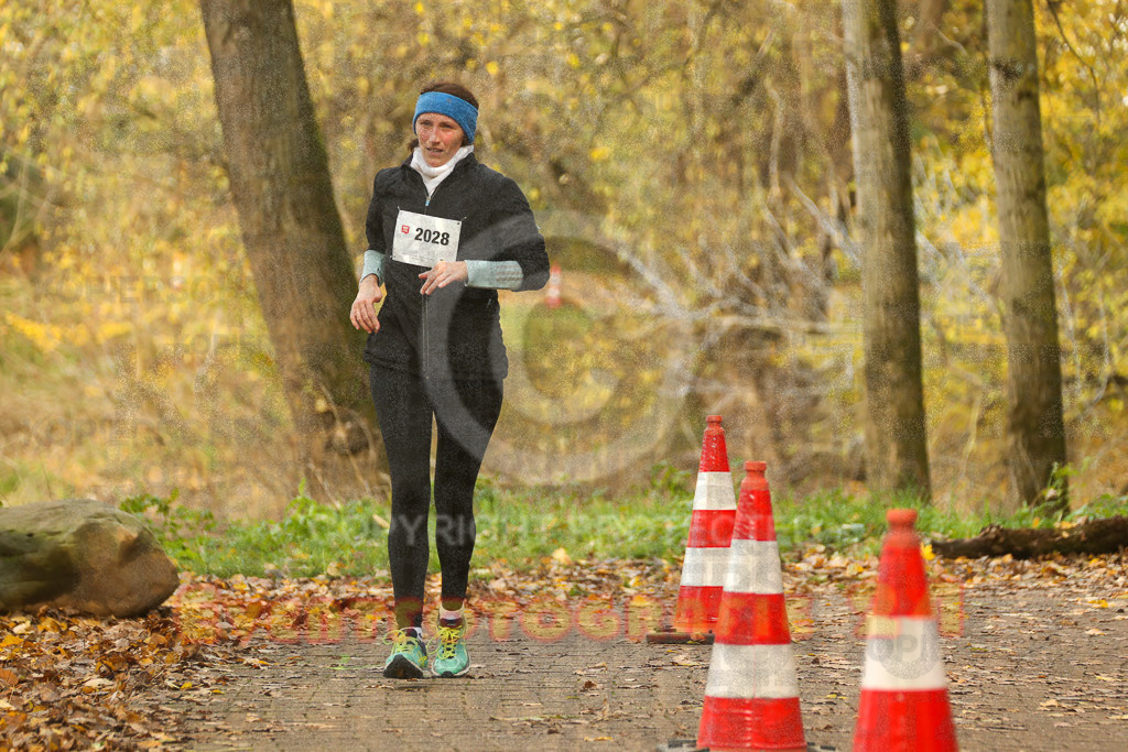 221127_1224_EX2_4927 | Sport- und Eventfotografie