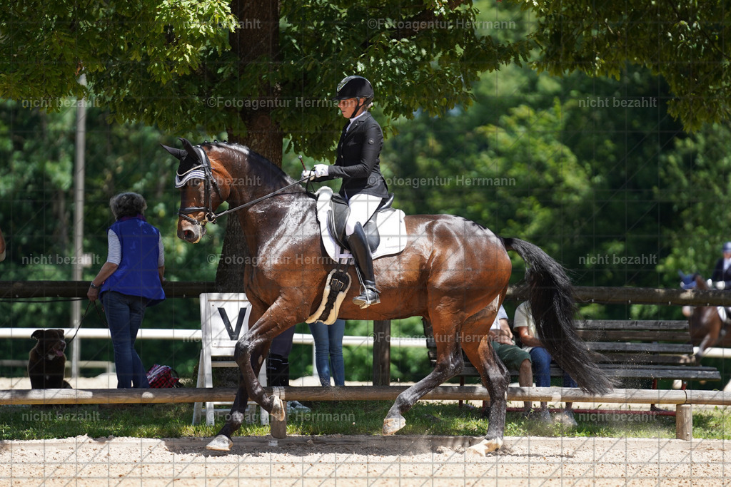 20240705-FAH03421 | Turnierbilder von Grafing, Reitsportbilder, Turnierfotos, Turnierfotografen Bayern, Pferdefotograf, Fotoagentur Herrmann