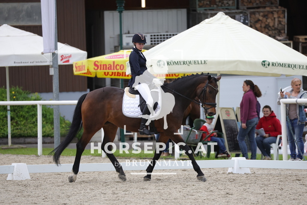 0P6A4064 | Willkommen bei Brunnmayr - Design & Fotografie – Ihrem Spezialisten für Reitturniere und Pferdeveranstaltungen in Oberösterreich, Salzburg und Bayern! Seit über 17 Jahren sind wir leidenschaftlich dabei.