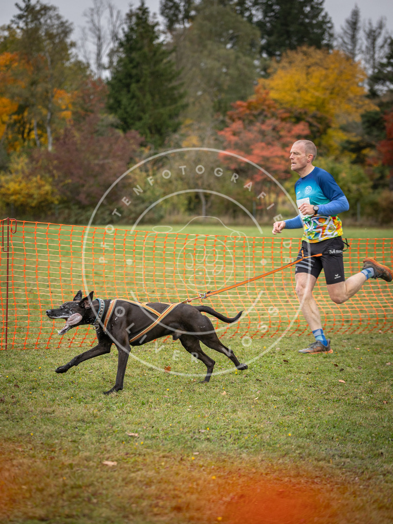 Pfotenfotografie_DV3A2412 | Hundefotografie, Tierfotograf, Pfotenfotografie, Fotoshooting Hund, Hunde Portrait, Hundesport, Hundeportraits, Heideshooting, Hunde, Sportfotograf, Hundefotograf, Turnierhundsport, THS,  - Realisiert mit Pictrs.com