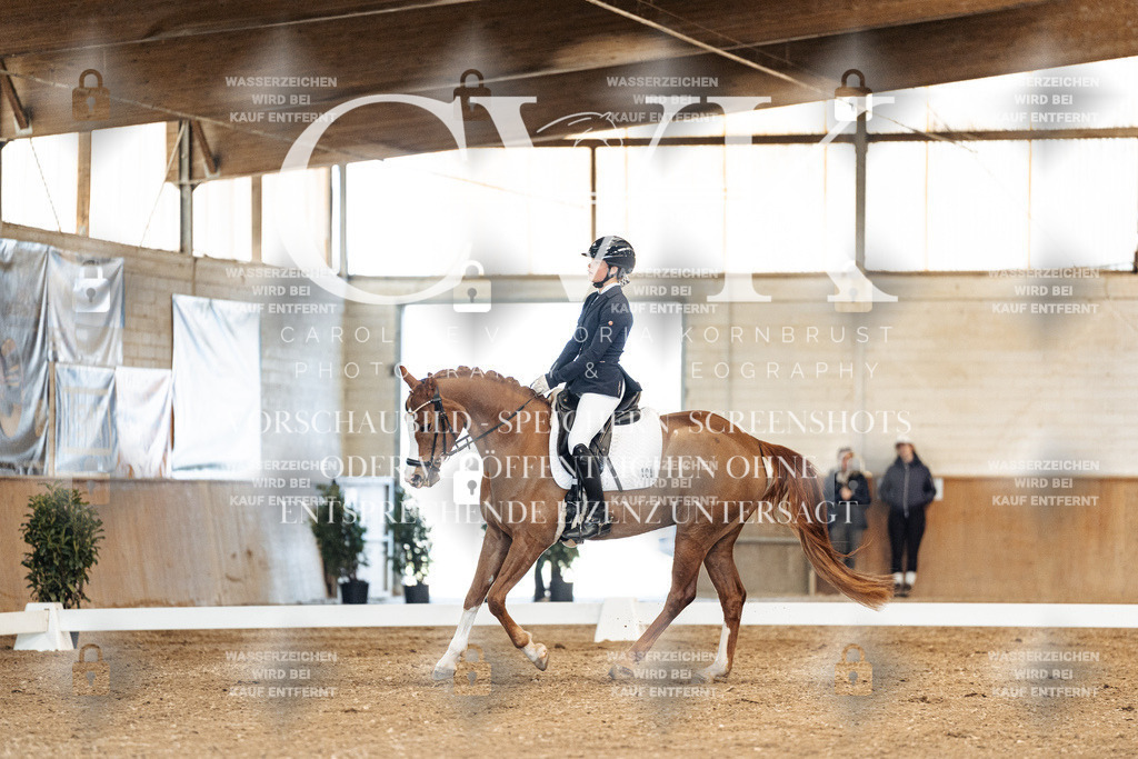 CK900777 | Turnierfotografie Pferdefotografie Trier Rheinland-Pfalz Pferdesport Reitsport Tierfotografie Sportfotografie Pferdevideo Pferdevideografie Equestrianvideography equestrianphotography  - Realisiert mit Pictrs.com