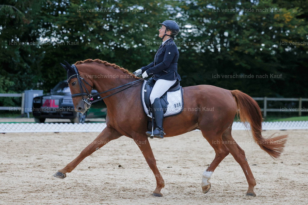 04_2-090-Dressur M__ -StoibPH-2996 | working equitationturnier fotograf videograf stoibphotography marixx film working equitation deutschland reitsport turnierfotografie eventfotografie equestrian events
