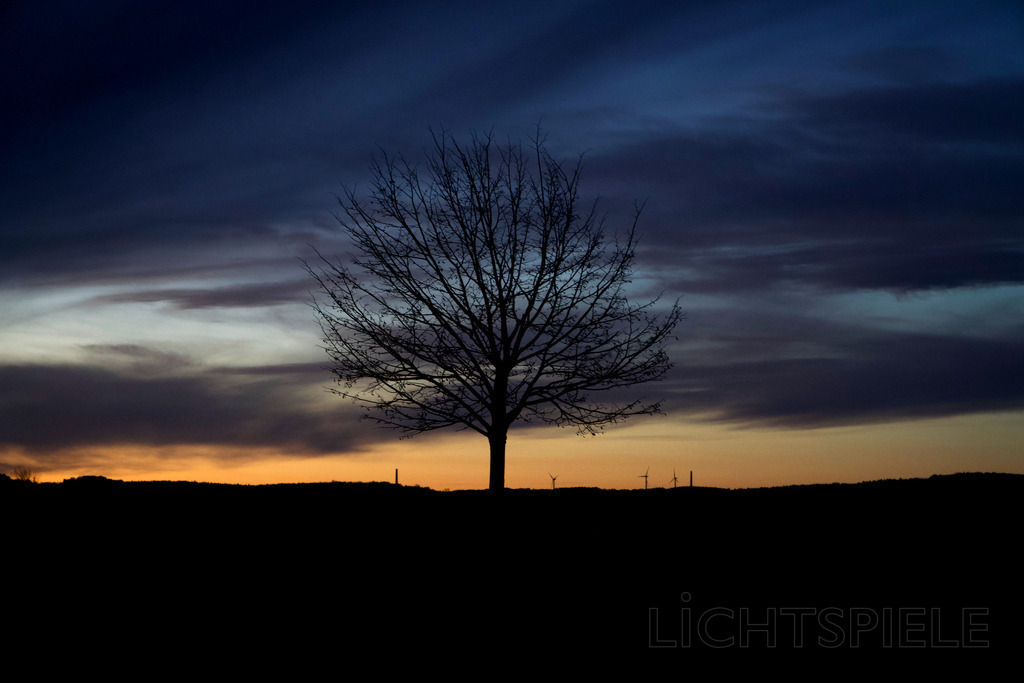 Abend | Baum im Abendhimmel - Realisiert mit Pictrs.com