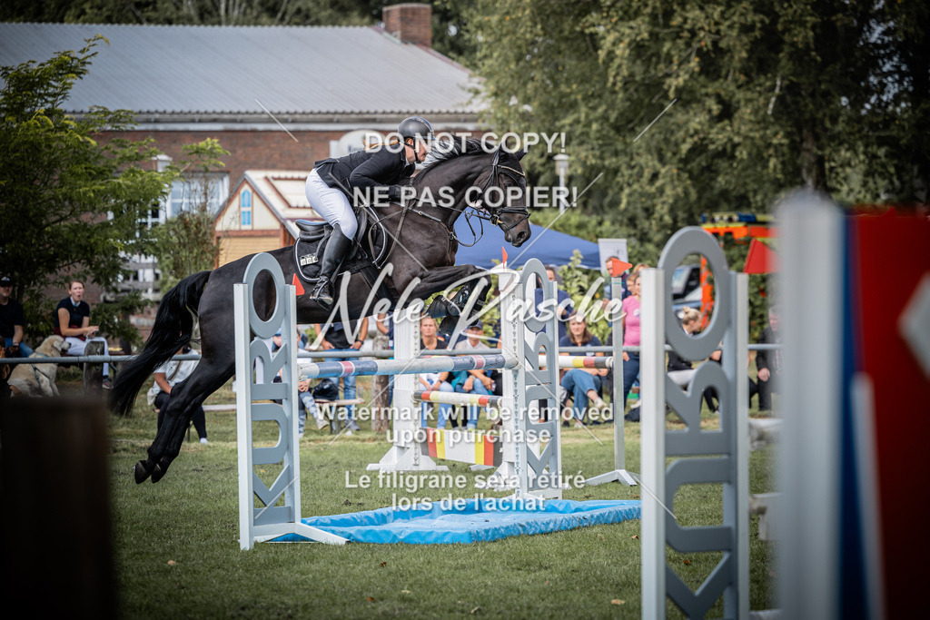nelerasche_SprL115Ede_80 | nelerasche