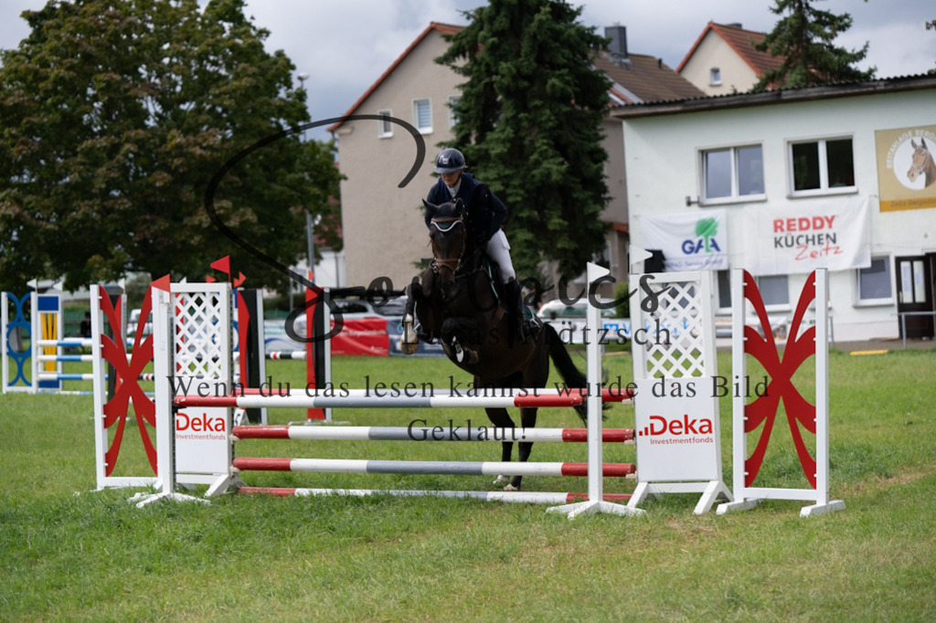 A7V03973 | Pferdefotograf