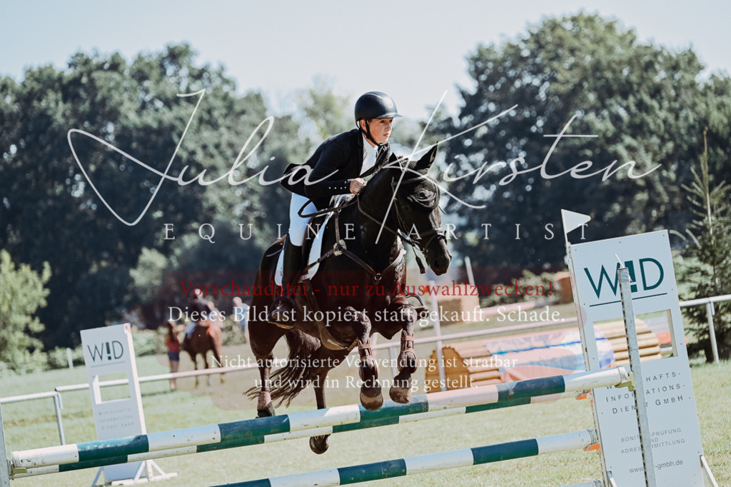 DSC_5726 | Pferde- und Turnierfotografie in Westsachsen. Pferdeportraits, Auftragszeichnungen und intuitive Kunst.