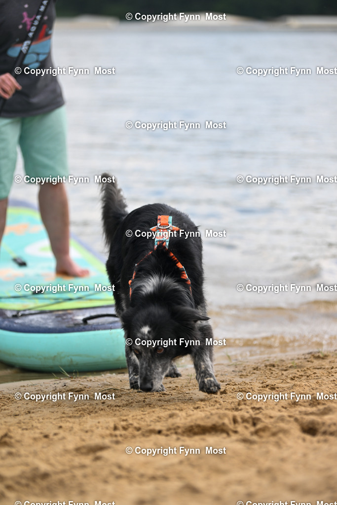 DSC_5875 | Hallo und herzlich Willkommen auf meiner Shop-Seite Fynn Most.

Ich wünsche Dir viel Spaß beim stöbern durch die Bilder, wenn Du Fragen hast oder Bilder vermisst, kannst du mir gerne eine Nachricht schreiben. - Realisiert mit Pictrs.com