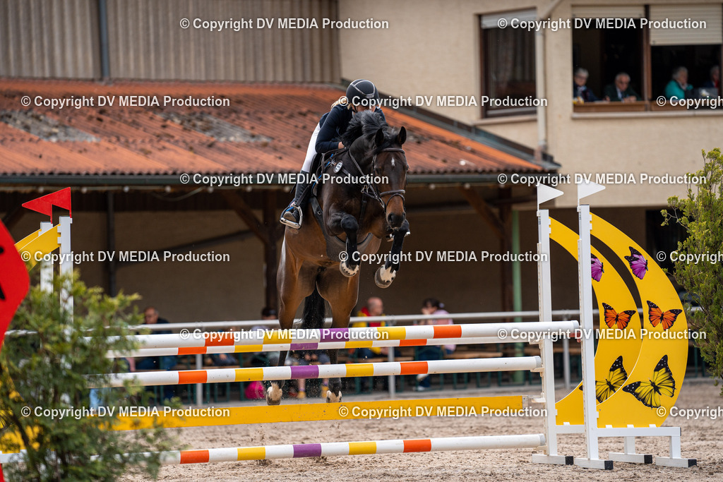 Eppelheim Tag 1-567 | dv-media-shop - Realisiert mit Pictrs.com