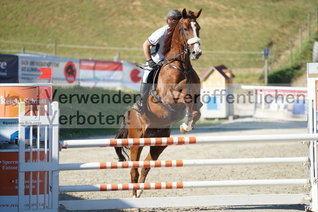 DSC01299 | equestrian-live-com