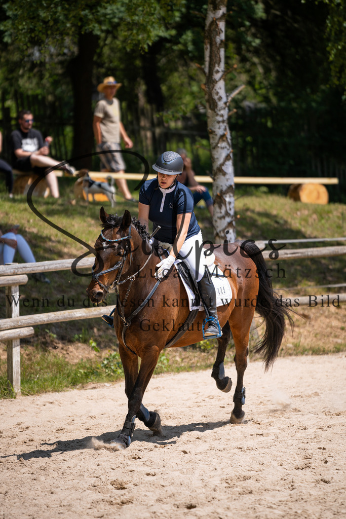 A7V08351 | Pferdefotograf