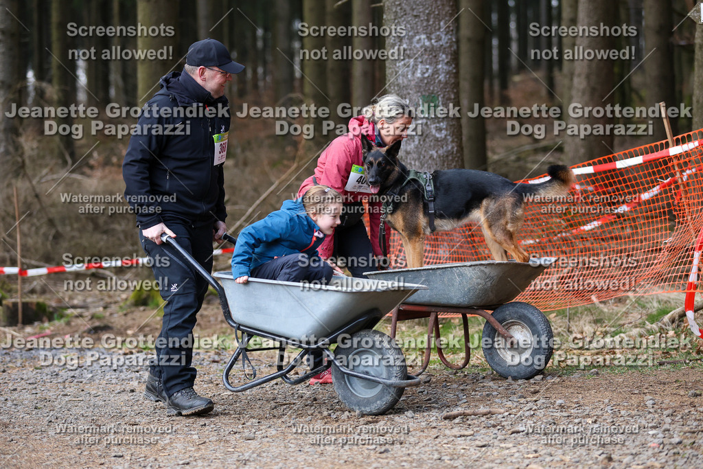 Dog Paparazzi - VCC26-769 | Dog Paparazzi Jeanette Grottendiek Fotografie & Videografie - Realisiert mit Pictrs.com