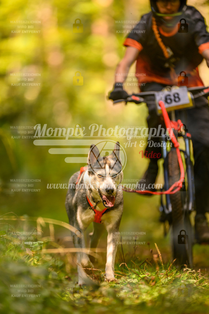 MompixPhotography_Yens2025_B2-104 | PayLife
