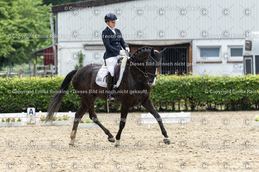 CL5A4877 | Emilia Reinking Fotografie - Realisiert mit Pictrs.com