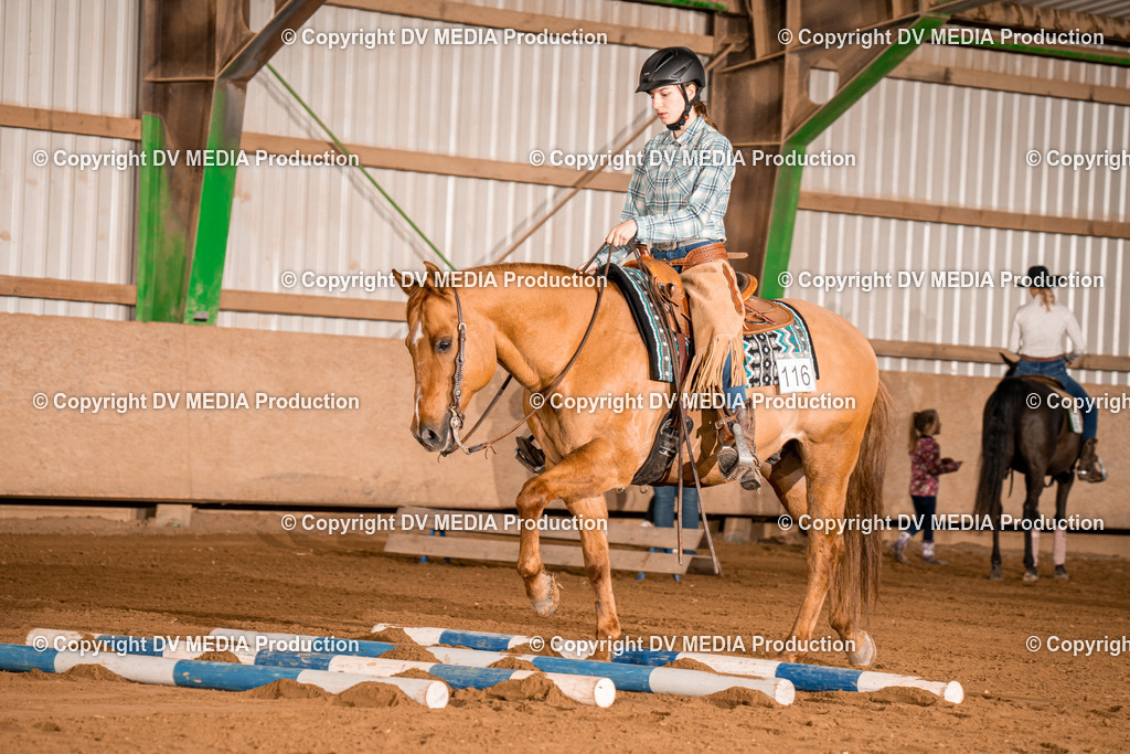 BA400228 | dv-media-shop - Realisiert mit Pictrs.com