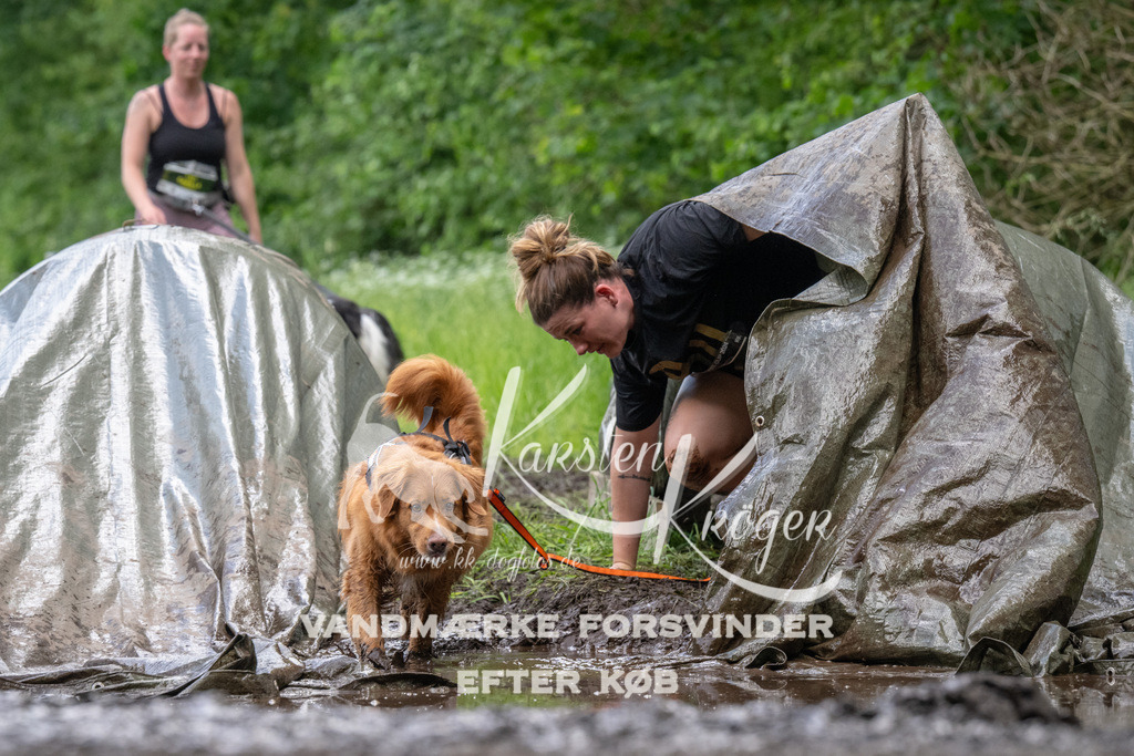 1257_ZZ94278 | kk-dogfotos