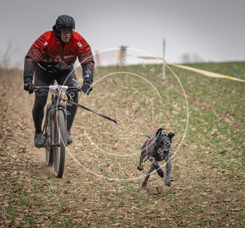 Pfotenfotografie_DV3A2361 | Hundefotografie, Tierfotograf, Pfotenfotografie, Fotoshooting Hund, Hunde Portrait, Hundesport, Hundeportraits, Heideshooting, Hunde, Sportfotograf, Hundefotograf, Turnierhundsport, THS,  - Realisiert mit Pictrs.com