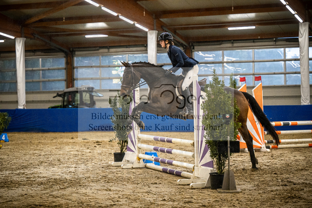DOS_1204 | Entdecke hochwertige Reitturnierfotos von Foto Oger. Professionell, emotional und authentisch – jetzt Lieblingsmomente im Shop bestellen.Deutschlandweite Turnierfotografie. - Realisiert mit Pictrs.com