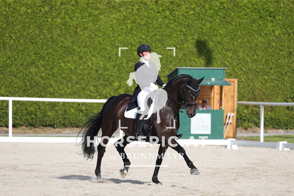0P6A3695 | Willkommen bei Brunnmayr - Design & Fotografie – Ihrem Spezialisten für Reitturniere und Pferdeveranstaltungen in Oberösterreich, Salzburg und Bayern! Seit über 17 Jahren sind wir leidenschaftlich dabei.