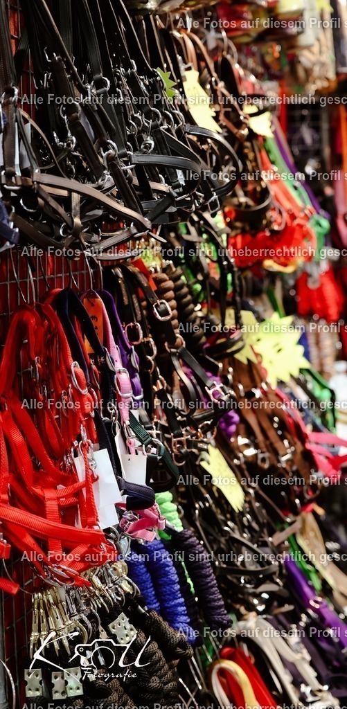 Photo_1737230119753 | krollfotografie - Realisiert mit Pictrs.com