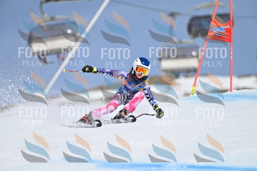 BGV_9714 | holidayphoto