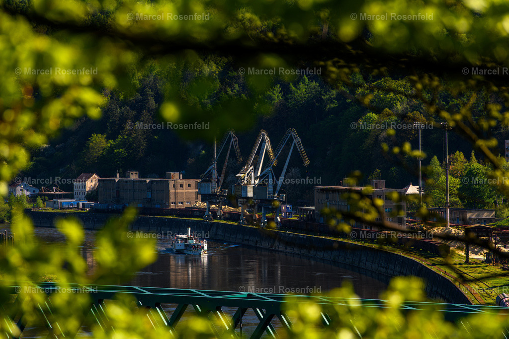 _DSC3695 (1) | foto-rosenfeld