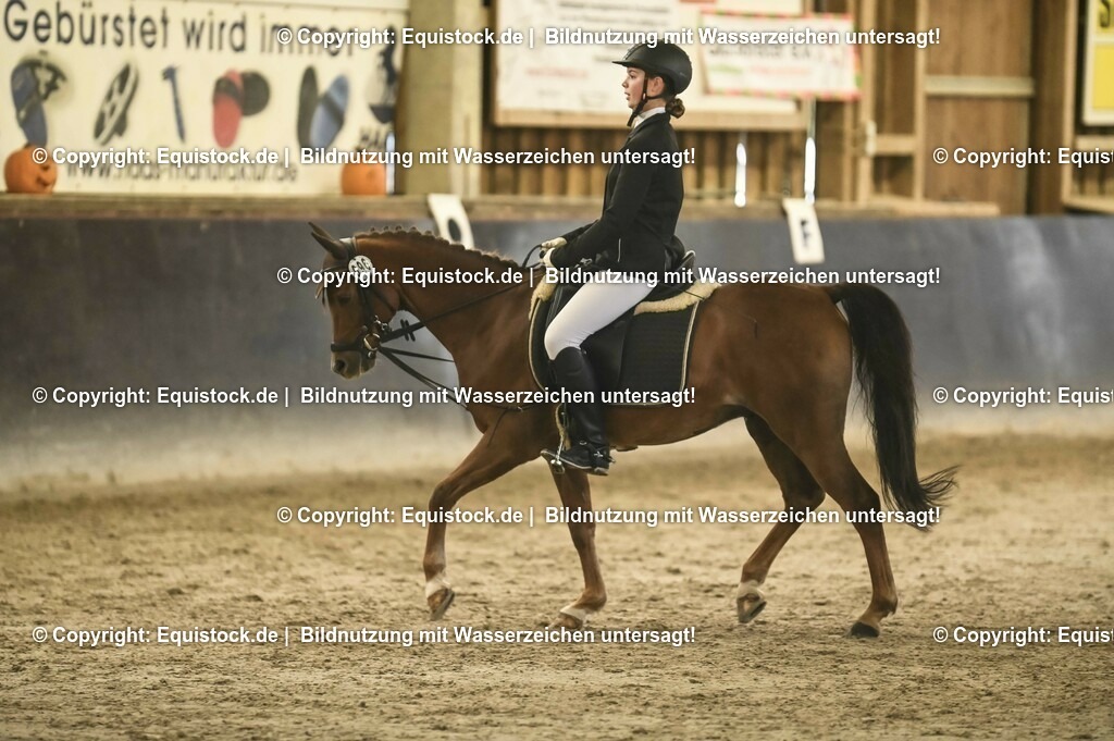 20231029_04_Dressur-WB_0313 | Foto: Thomas Hartig