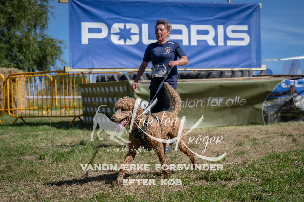 1123_ZZ91508 | kk-dogfotos