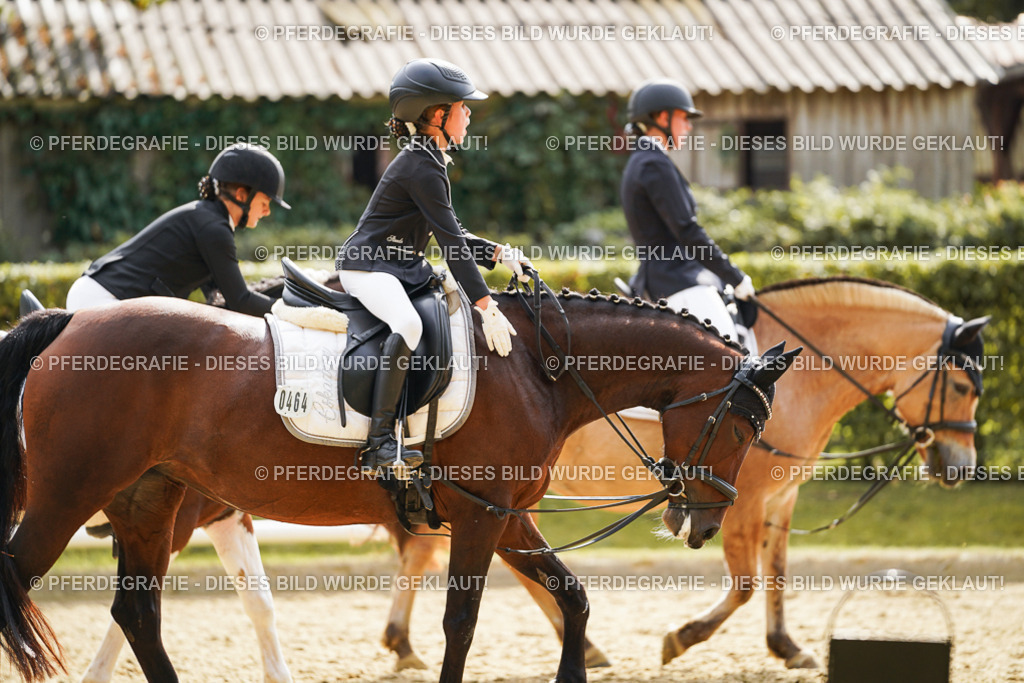 DSC01408 | Pferdegrafie