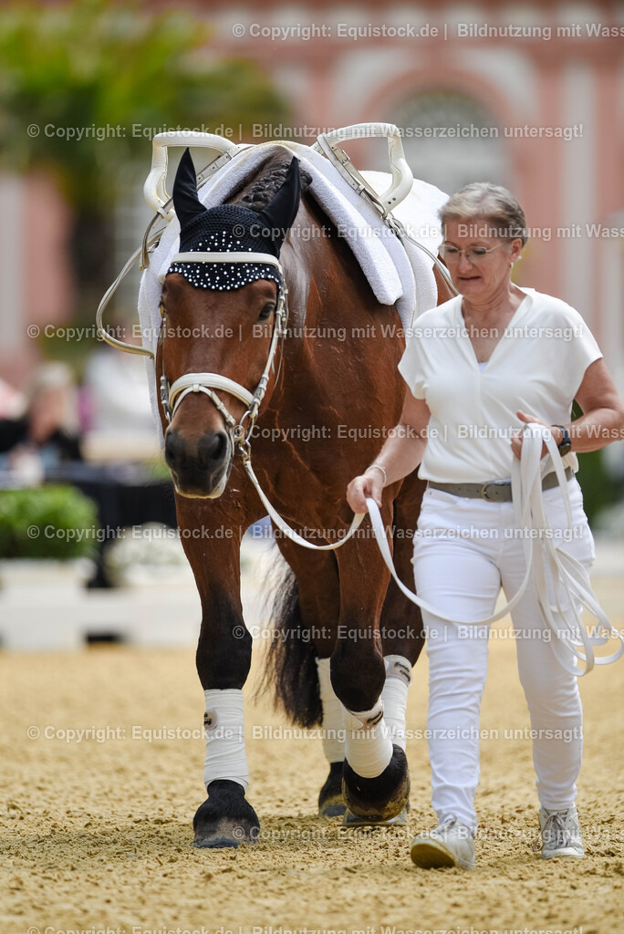 20250608_CVI-Masterclass_0477 | Foto: Thomas Hartig