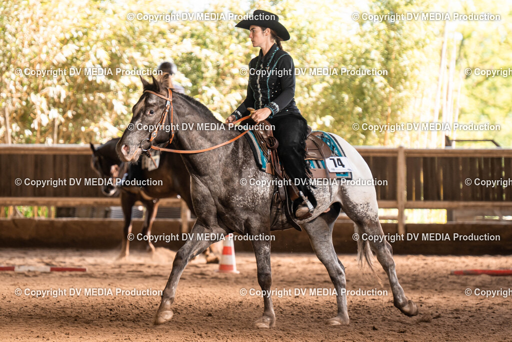 Erbach Tag 1-581 | dv-media-shop - Realisiert mit Pictrs.com