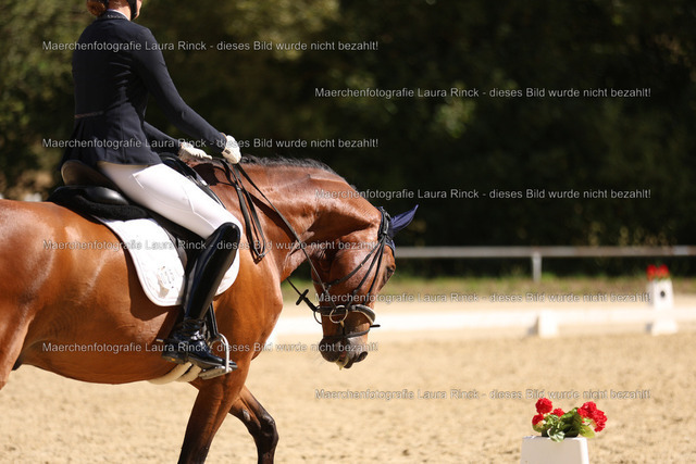 HG9A2499 | laurarinckfotografie - Realisiert mit Pictrs.com