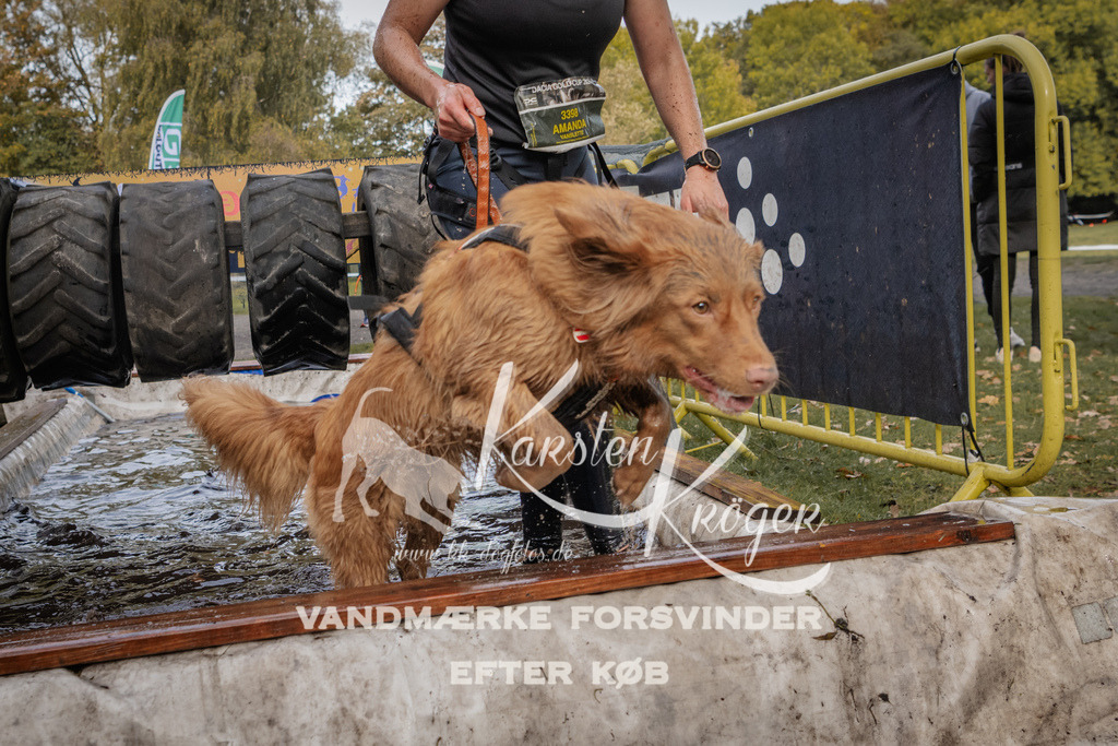 1459_ZZ90863 | kk-dogfotos