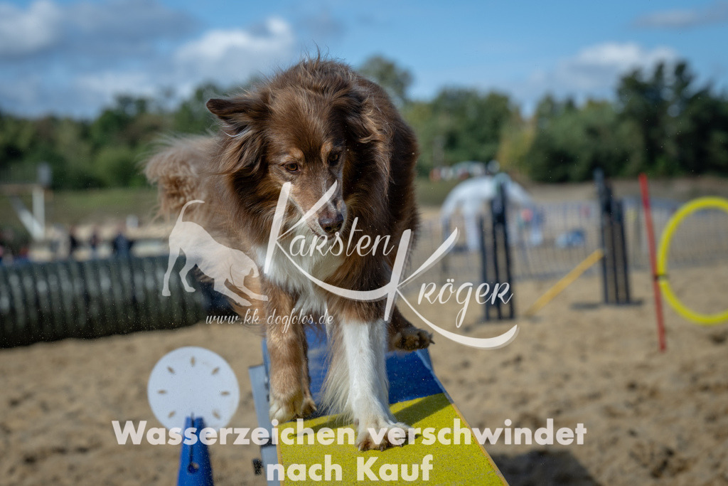 1213_ZZ92719-2 | kk-dogfotos