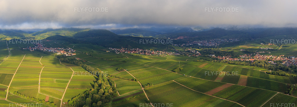 Luftbild: Panorama der Weinberge zwischen Ranschbach und Siebeldingen im Ortsteil Arzheim in Landau im Bundesland Rheinland-Pfalz in Deutschland. Foto: IMG_103329-Pano.jpg vom 10.09.2017 durch Werner Riehm/FLY-FOTO.deAuflösung des Originals: 8127 x 2929 px