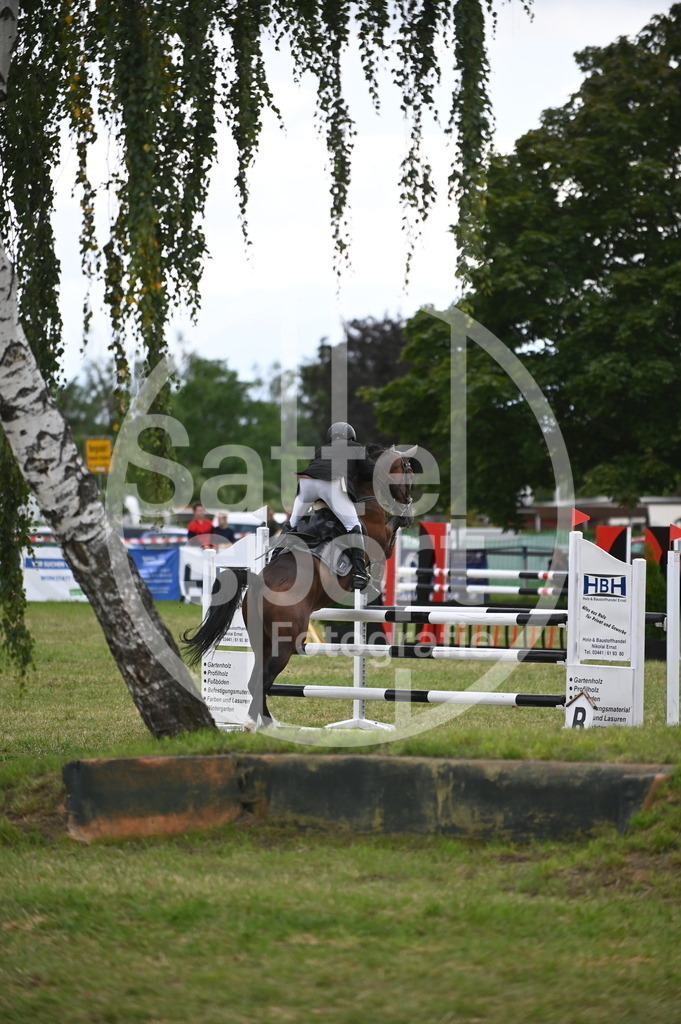 DSC_7901 | sattelsport - Realisiert mit Pictrs.com