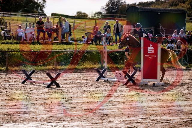 2026_10_03_Siefer-Hof_144705_Z81_23604437 | Professionelle Reitsport-, Turnier- und Eventfotografie von Robert Broda. Galerien mit ausgewählten und bearbeiteten Bildern direkt online ansehen und bestellen.