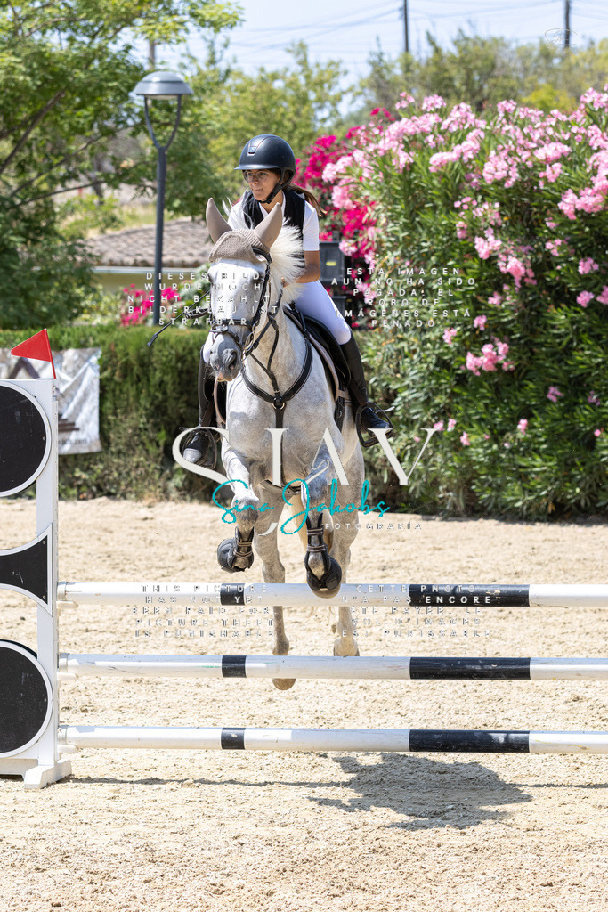 IMG_1085 | s-jay-photography - Realisiert mit Pictrs.com