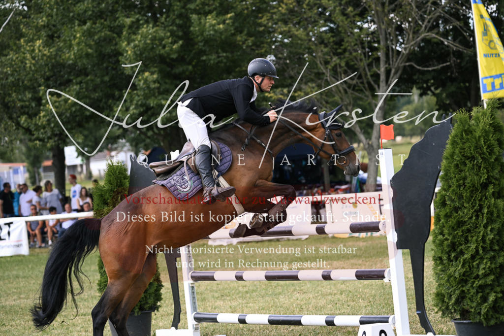 DSC_0748 | Pferde- und Turnierfotografie in Westsachsen. Pferdeportraits, Auftragszeichnungen und intuitive Kunst.