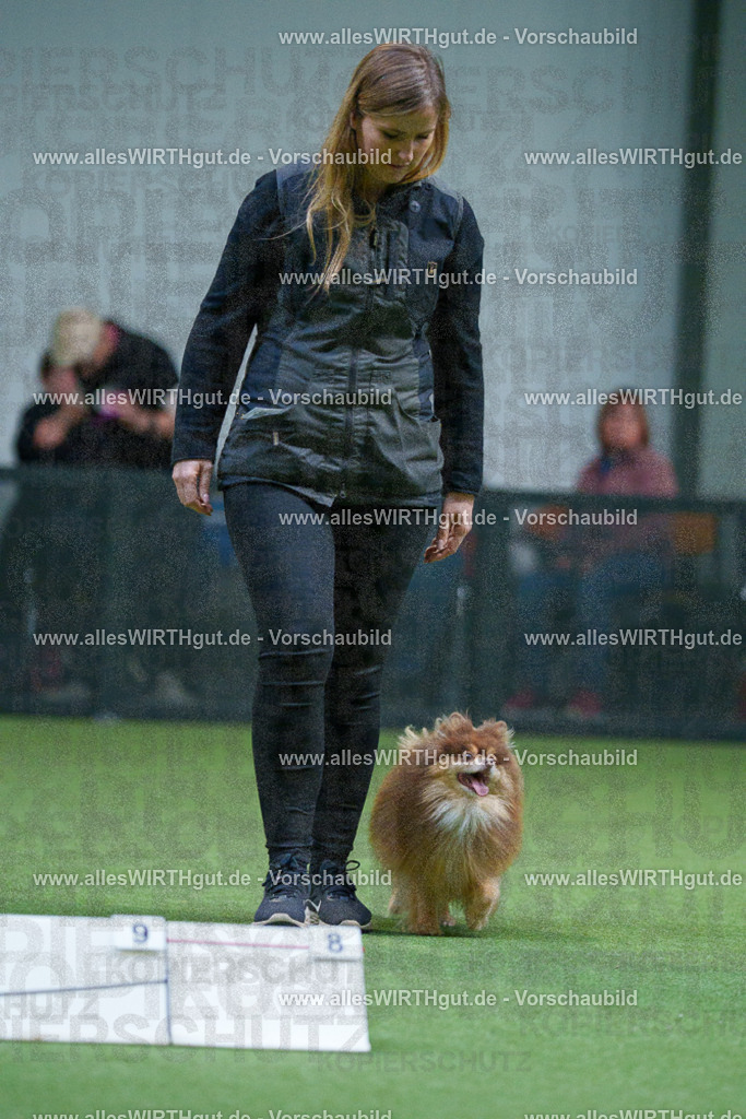 7R501795 | Professionelle Tierfotografie in Mönchengladbach von Daniel Wirth (allesWIRTHgut). Liebevolle & natürliche Bilder von Hunden & Katzen für unvergessliche Erinnerungen.