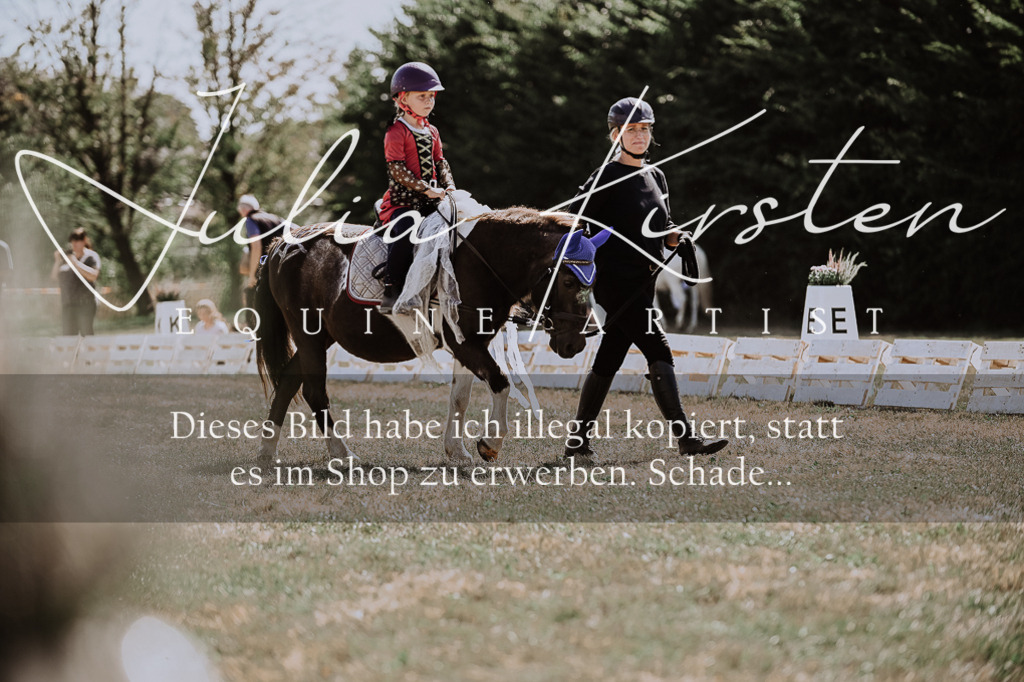 DSC_8888 | Pferde- und Turnierfotografie in Westsachsen. Pferdeportraits, Auftragszeichnungen und intuitive Kunst.