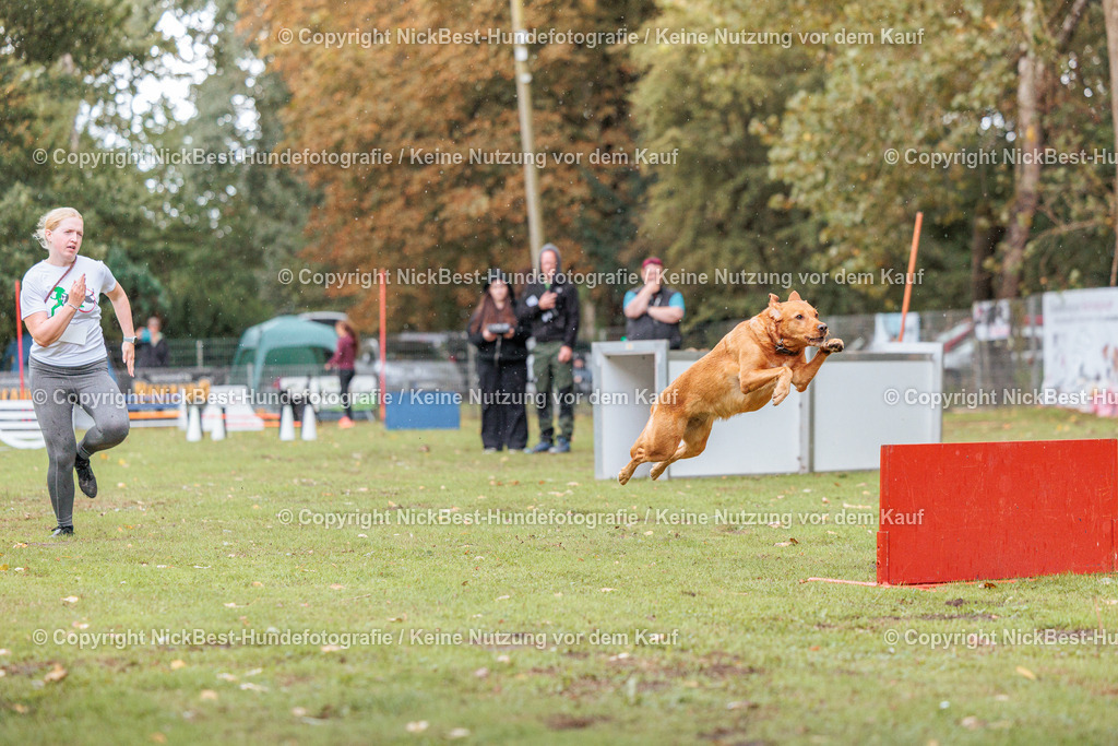 THS-HSV-Blumenthal-2026-Nickbest-Hundefotografie-4181 | Dein Hund! Dein Moment! Deine Erinnerungen! Hundefotografie in Bremen Blumenthal. Ich fange die besonderen Momente deines Vierbeiners ein – ob Indoor mit Blitzanlage oder in der freien Natur. Sicher dir dein Moment und dein Termin für eure Erinnerungen.