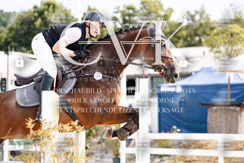 CK903044 | Turnierfotografie Pferdefotografie Trier Rheinland-Pfalz Pferdesport Reitsport Tierfotografie Sportfotografie Pferdevideo Pferdevideografie Equestrianvideography equestrianphotography  - Realisiert mit Pictrs.com