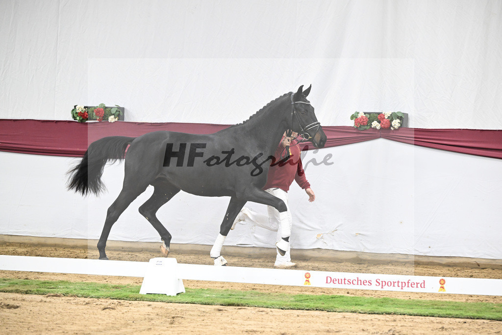 Kat-Nr. 34 Iron x Fuersten-Look_Thomas Casper_47251166 | hf-fotografie - Realisiert mit Pictrs.com