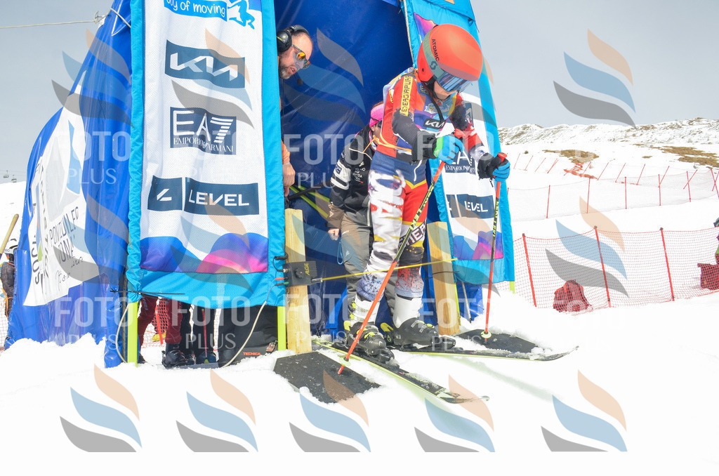 _ELE8039 | holidayphoto