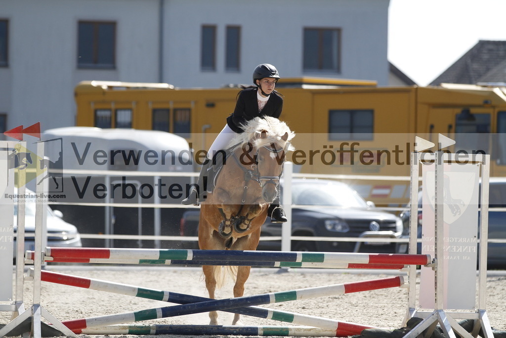 _MG_3499 | equestrian-live-com