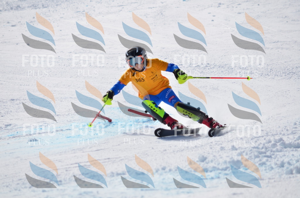 C9876 | holidayphoto