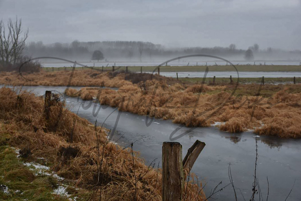 Bilder Homepage-119 | fotografie-derks - Realisiert mit Pictrs.com